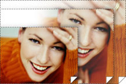 Epson Singleweight Matte Paper 44" x 131.7' printing paper