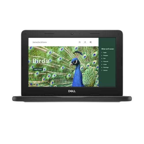 DELL Chromebook 3120