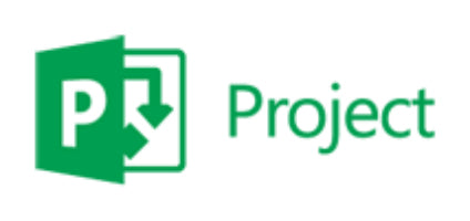 Microsoft Project Professional, 2Y, Level D, Government, Additional Product