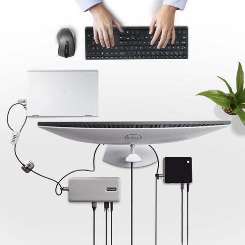 Cable Lock StarTech.com 3M4-DESK-LOCKING-KIT 9.8ft Steel 4-Digit Lock for 3 Devices - 3M4-DESK-LOCKING-KIT