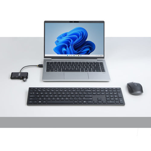 StarTech.com ST4200MINI2-USB-HUB interface hub