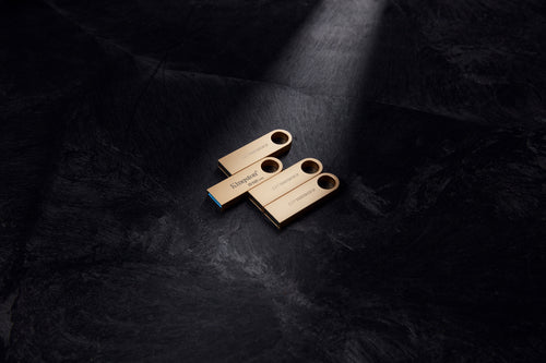 Kingston Technology DataTraveler SE9 G3 USB flash drive