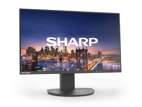 Sharp DD-EA241F computer monitor
