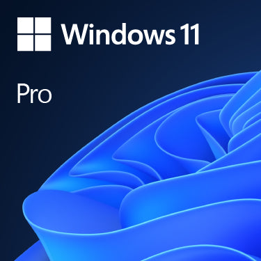 Microsoft Windows 11 Pro High-End