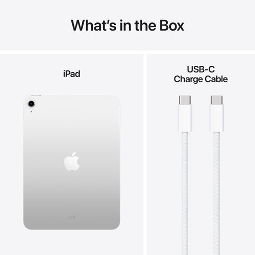 Apple iPad