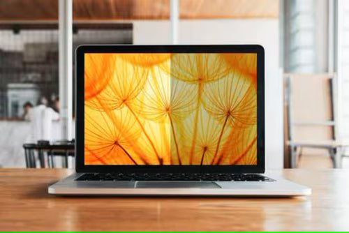 3M BP133W1E 13.3" Privacy Filter - Anti-Glare & Anti-Blue Light for Laptops