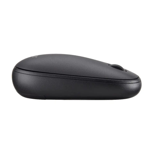 Acer Wireless Bubble - AMR100 Black (Retail pack) mouse