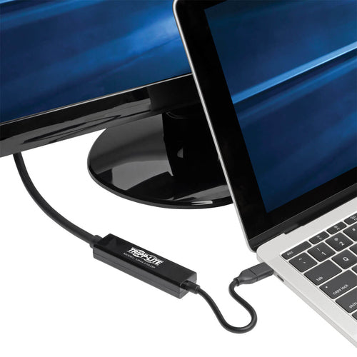 Tripp Lite U444-010-DP USB graphics adapter