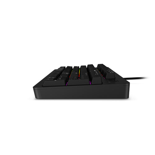 Lenovo GX31N91913 keyboard