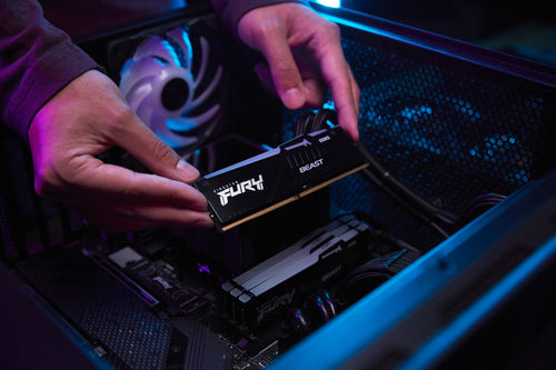 Kingston Technology FURY Beast RGB memory module