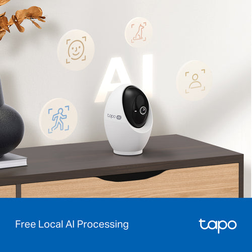 TP-Link Tapo C260