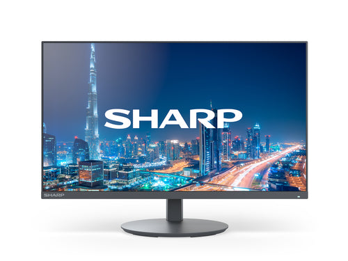 Sharp MultiSync E224F computer monitor