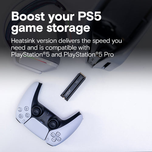 Crucial P310