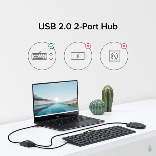 Plugable Technologies USB2-2PORT interface hub