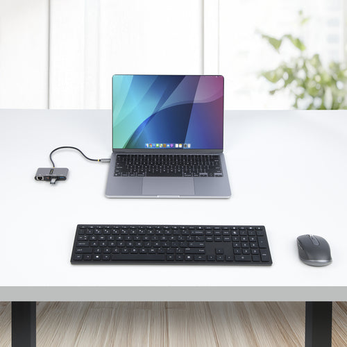 StarTech.com HB30C3A1GEA2 laptop dock/port replicator