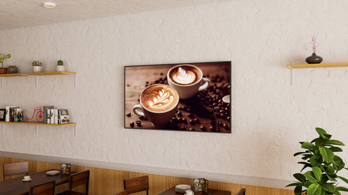 Sony BZ30P