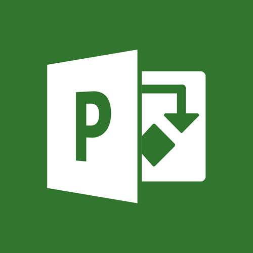 Microsoft Project Server