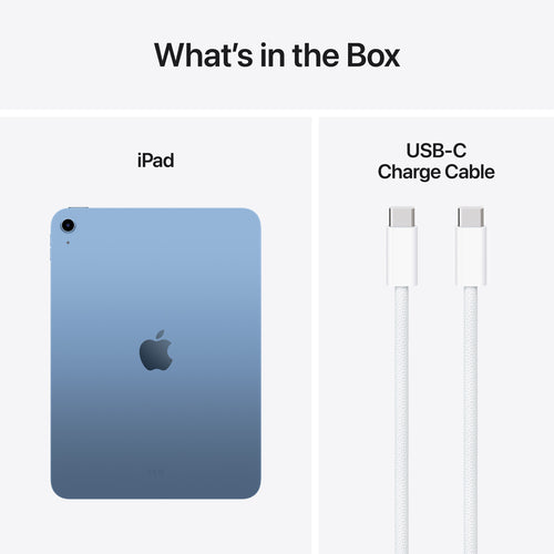 Apple iPad