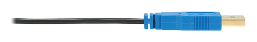 Eaton P569-A25-MF-8K6 video cable adapter