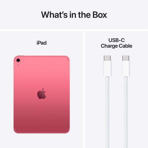 Apple iPad