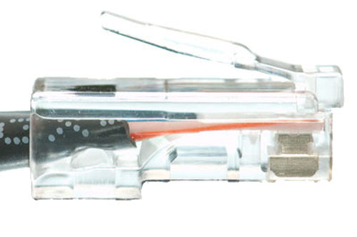eNet Components Cat6 10ft. networking cable