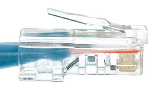 eNet Components Cat6 25ft. networking cable