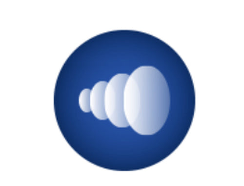 Acronis AAEBEBENS21 software license/upgrade