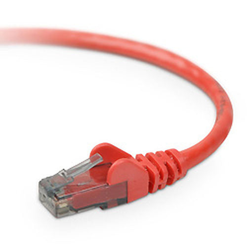 Belkin CAT6 Snagless networking cable