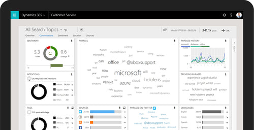 Microsoft Dynamics 365 for Customer Service 1 Year Client Access License