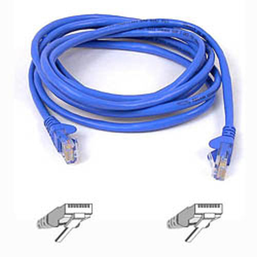 Cat.6 UTP Patch Cable Belkin 2ft Blue RJ-45 High-Performance