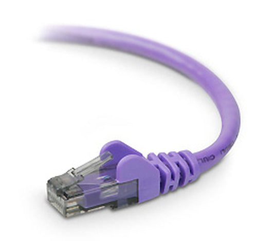 Belkin CAT6 Snagless 2 ft networking cable